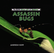Assassin Bugs - Hipp, Andrew