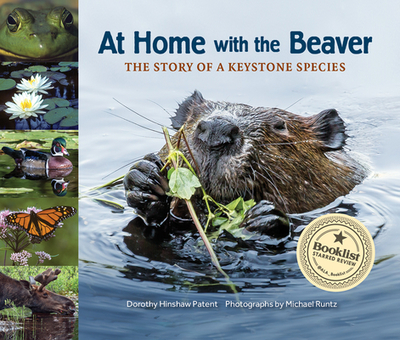 At Home with the Beaver: A Story of a Keystone Species - Patent, Dorothy Hinshaw, and Runtz, Michael (Photographer)