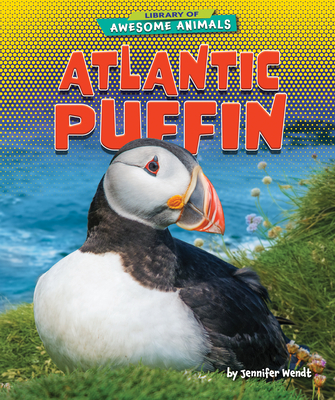 Atlantic Puffin - Wendt, Jennifer