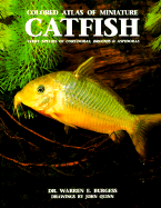 Atlas Miniature Catfish