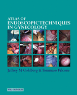 Atlas of Endoscopic Techniques in Gynecology - Goldberg, Jeffrey M, MD, and Falcone, Tommaso, MD