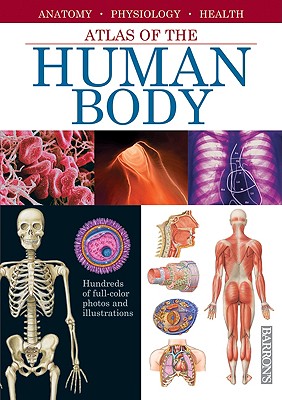 Atlas of the Human Body: Anatomy, Physiology, Health - Cassan, Adolfo, and Marcel Socias Studios