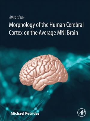 Atlas of the Morphology of the Human Cerebral Cortex on the Average Mni Brain - Petrides, Michael