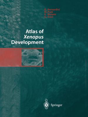 Atlas of Xenopus Development - Bernardini, G., and Prati, M., and Bonetti, E.