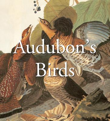 Audubon's Birds (Mega Squares) - Confidential Concepts, and Mega Square (Editor)