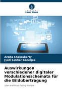 Auswirkungen verschiedener digitaler Modulationsschemata f?r die Bild?bertragung