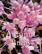 Autumn Bulbs - Leeds, Rod