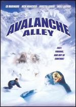 Avalanche Alley - Paul Ziller