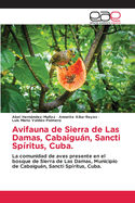 Avifauna de Sierra de Las Damas, Cabaigußn, Sancti Sp?ritus, Cuba.