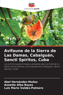 Avifaune de la Sierra de Las Damas, Cabaigun, Sancti Sp?ritus, Cuba