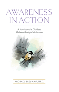 Awareness in Action: A Practitioner's Guide to Mahasati Insight Meditation