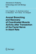 Axonal Branching and Recovery of Coordinated Muscle Activity After Transsection of the Facial Nerve in Adult Rats
