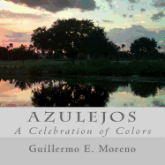 Azulejos: A Celebration of Colors