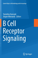 B Cell Receptor Signaling