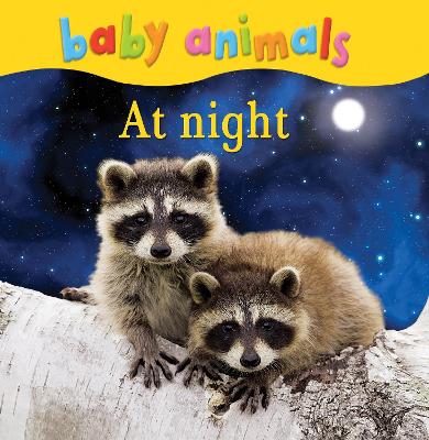 Baby Animals: At Night - Kingfisher