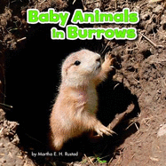 Baby Animals in Burrows