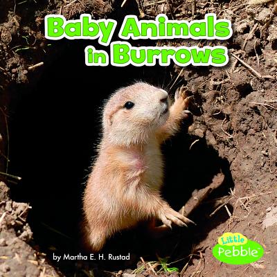 Baby Animals in Burrows - Rustad, Martha E H