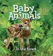 Baby Animals: In the Forest