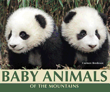 Baby Animals of the Mountains