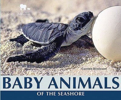 Baby Animals of the Seashore - Bredeson, Carmen