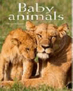 Baby Animals: Pocket Book