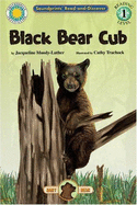 Baby Bear Adventures: Black Bear Cub