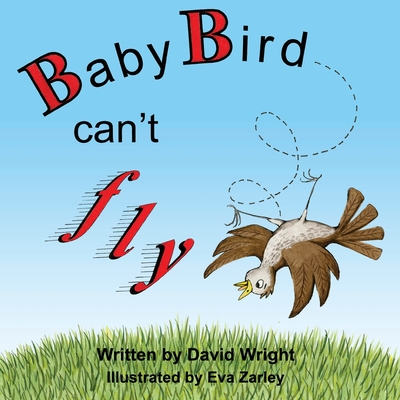 Baby Bird Can't Fly - Wright, David