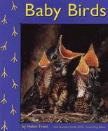 Baby Birds