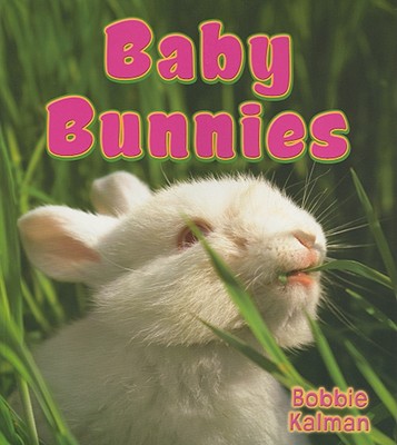 Baby Bunnies - Kalman, Bobbie