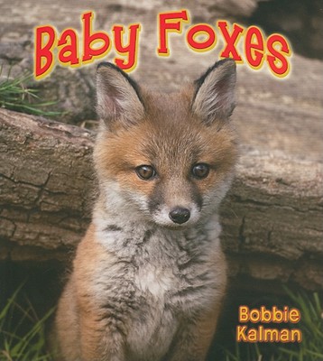 Baby Foxes - Kalman, Bobbie