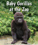 Baby Gorillas at the Zoo