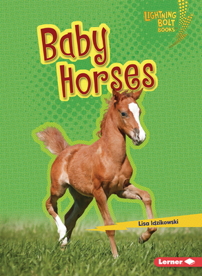 Baby Horses - Idzikowski, Lisa