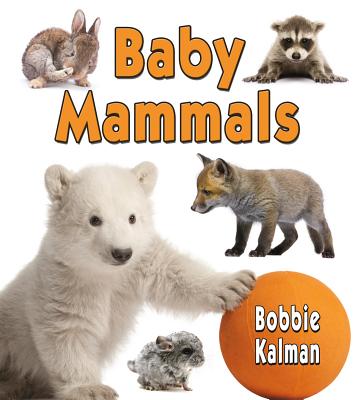 Baby Mammals - Kalman, Bobbie