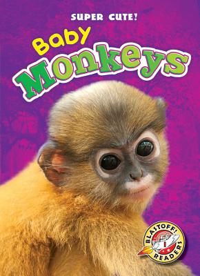 Baby Monkeys - Schuetz, Kari