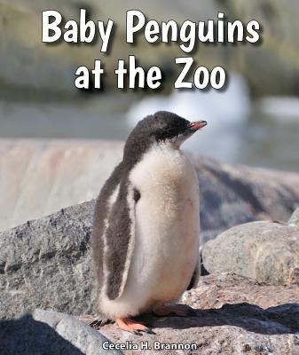 Baby Penguins at the Zoo - Brannon, Cecelia H