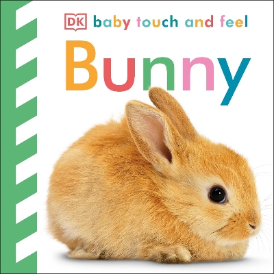 Baby Touch and Feel Bunny - DK