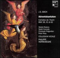 Bach: Adventskantaten, BWV 36, 61 & 62 - Christoph Prégardien (tenor); Collegium Vocale; Peter Kooij (baritone); Sibylla Rubens (soprano)
