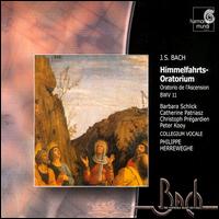 Bach: Ascension Oratorio / Cantatas - Barbara Schlick (soprano); Catherine Patriasz (alto); Christoph Prgardien (tenor); Collegium Vocale; Peter Kooij (bass)