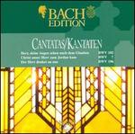 Bach: Cantatas BWV 102, 7 & 196