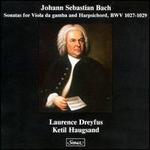 Bach: Viola da Gamba Sonatas - Ketil Haugsand (harpsichord); Laurence Dreyfus (viola da gamba)
