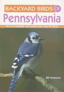 Backyard Birds of Pennsylvania - Fenimore, Bill