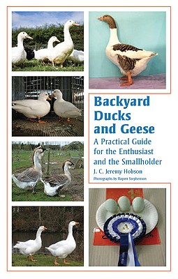 Backyard Ducks and Geese: A Practical Guide for the Enthusiast and the Smallholder - Hobson, J C Jeremy