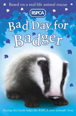 Bad Day for Badger - Hawkins, Sarah