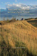 Bad Land Pastoralism in Great Plains Fiction