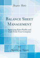 Balance Sheet Management: Squeezing Extra Profits and Cash from Your Company (Classic Reprint)