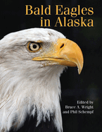 Bald Eagles in Alaska