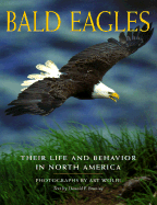 Bald Eagles: Their Life & Behavior in North America