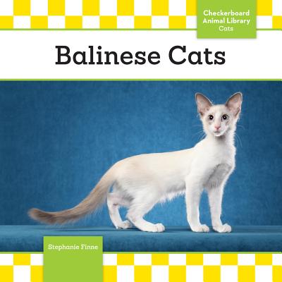 Balinese Cats - Finne, Stephanie