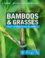 Bamboos and Grasses - Ardle, Jon