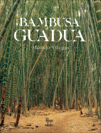 Bambusa guadua